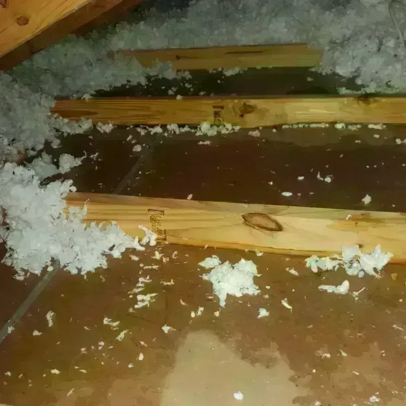 Attic Water Damage in Clyde, NC